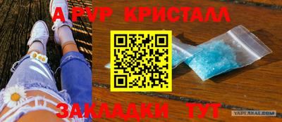спиды Будённовск