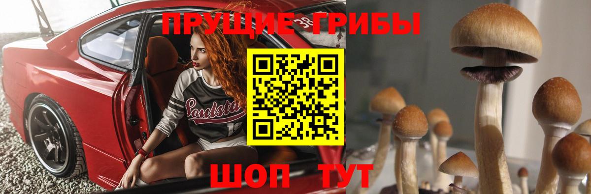 Псилоцибиновые грибы мицелий  Псилоцибиновые грибы Magic Shrooms  Усинск  Вход с VPN 